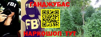 шишки Гатчина