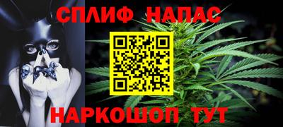 сатива Гагарин