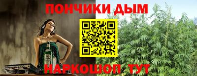 шишки Гатчина
