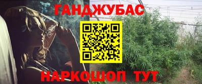 сатива Гагарин