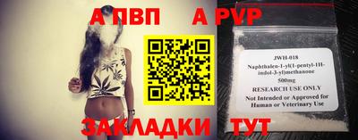 шишки Гатчина