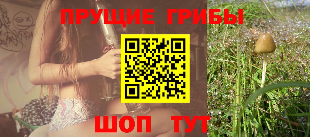 Галлюциногенные грибы мицелий  Галлюциногенные грибы мухоморы  Губкин  как найти закладки  Вход с VPN 